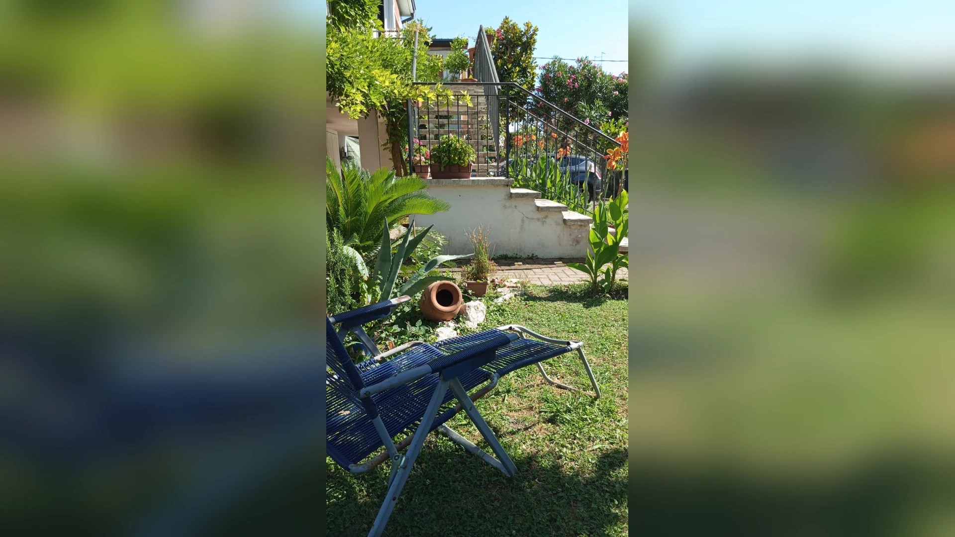 Giardino